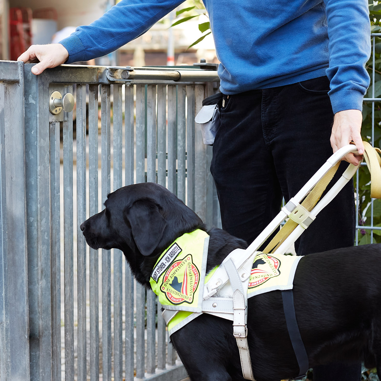 Ein Blindenführhund (schwarzer Labrador) zeigt eine Türe an.