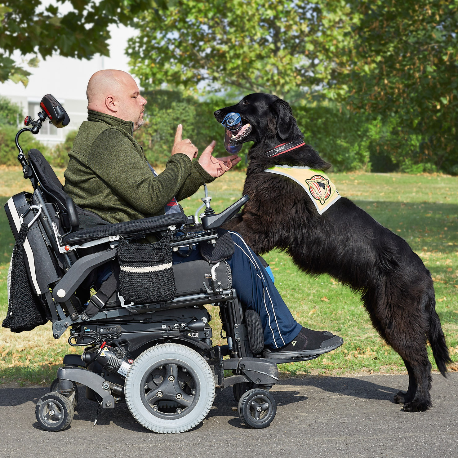 Ein Servicehund (schwarzer Flatcoated Retriever) übergibt seinem Menschen einen Gegenstand.