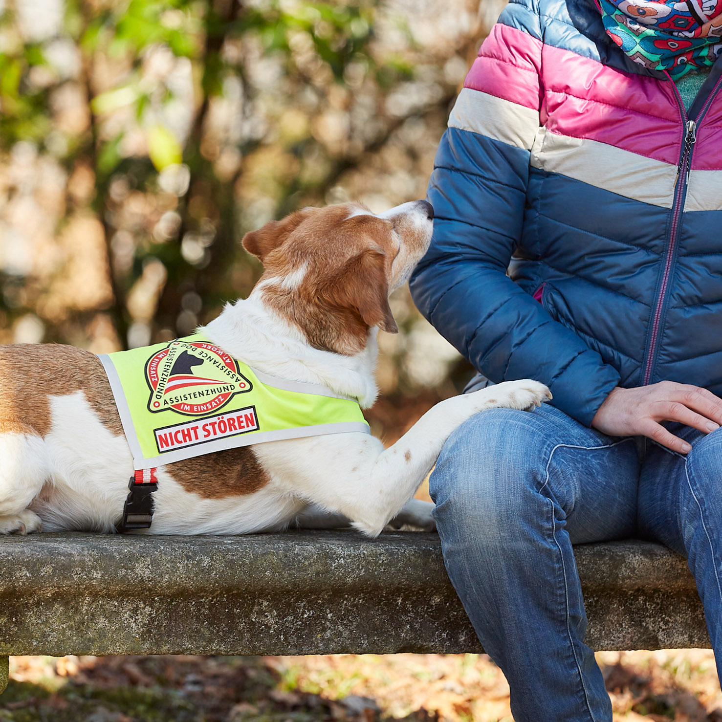 Ein Signalhund (Beaglemix) zeigt an, dass ein gesundheitlicher Notfall ansteht.